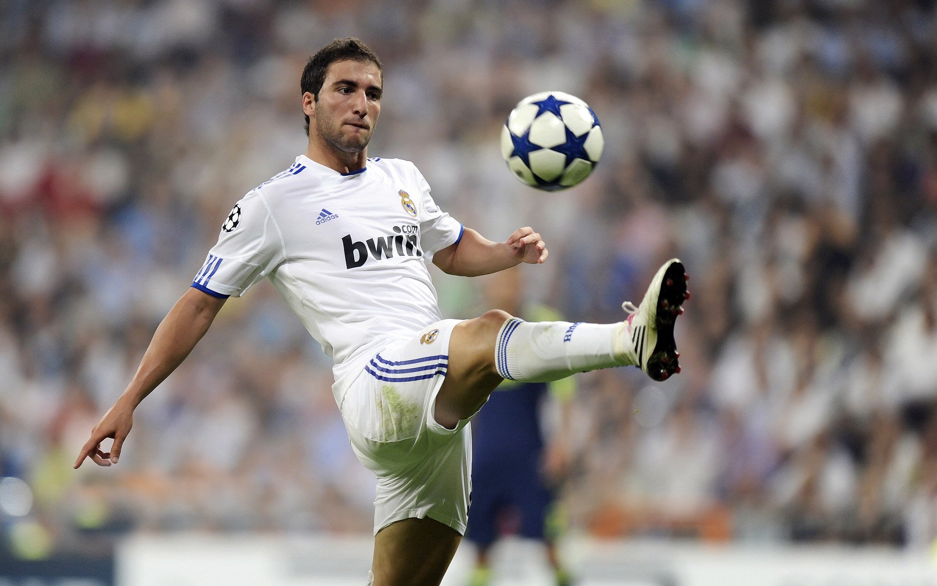 掘金完胜辽宁队，赵继伟统治全场