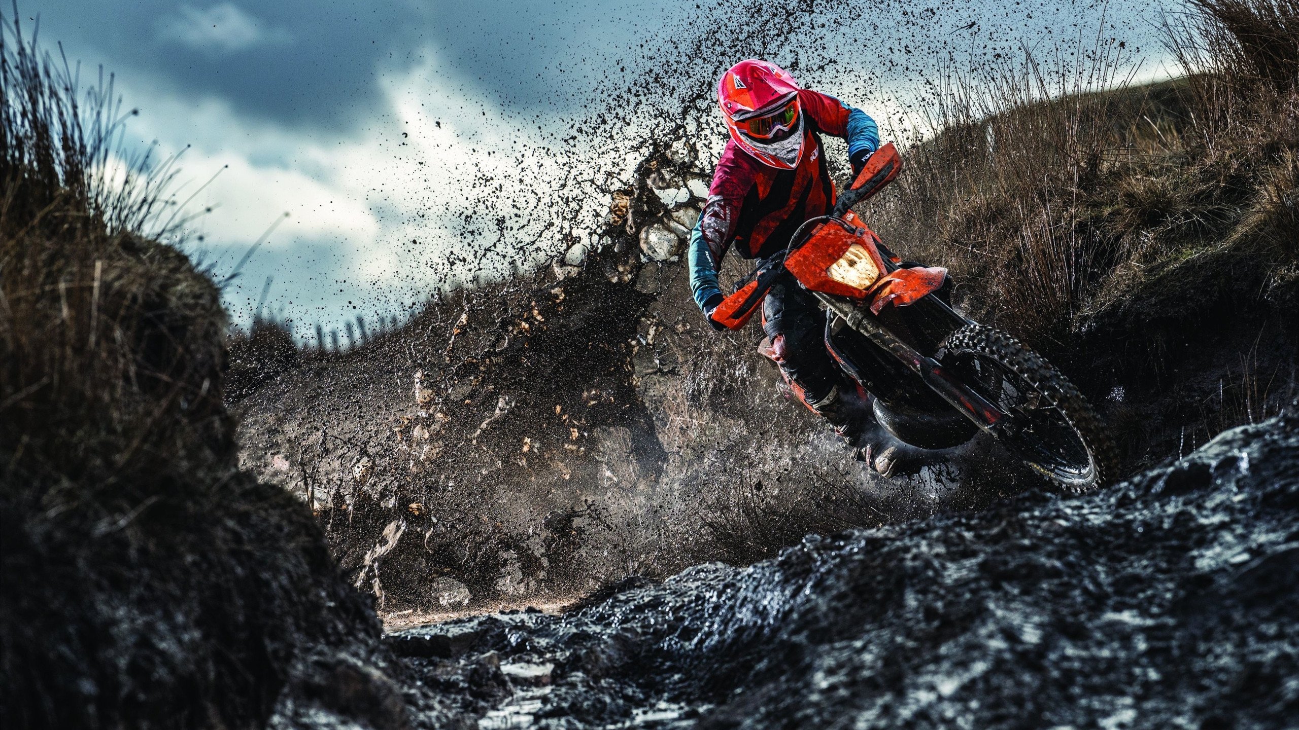 戴维斯杯碾压温网，蒂姆统治全场的终极之战